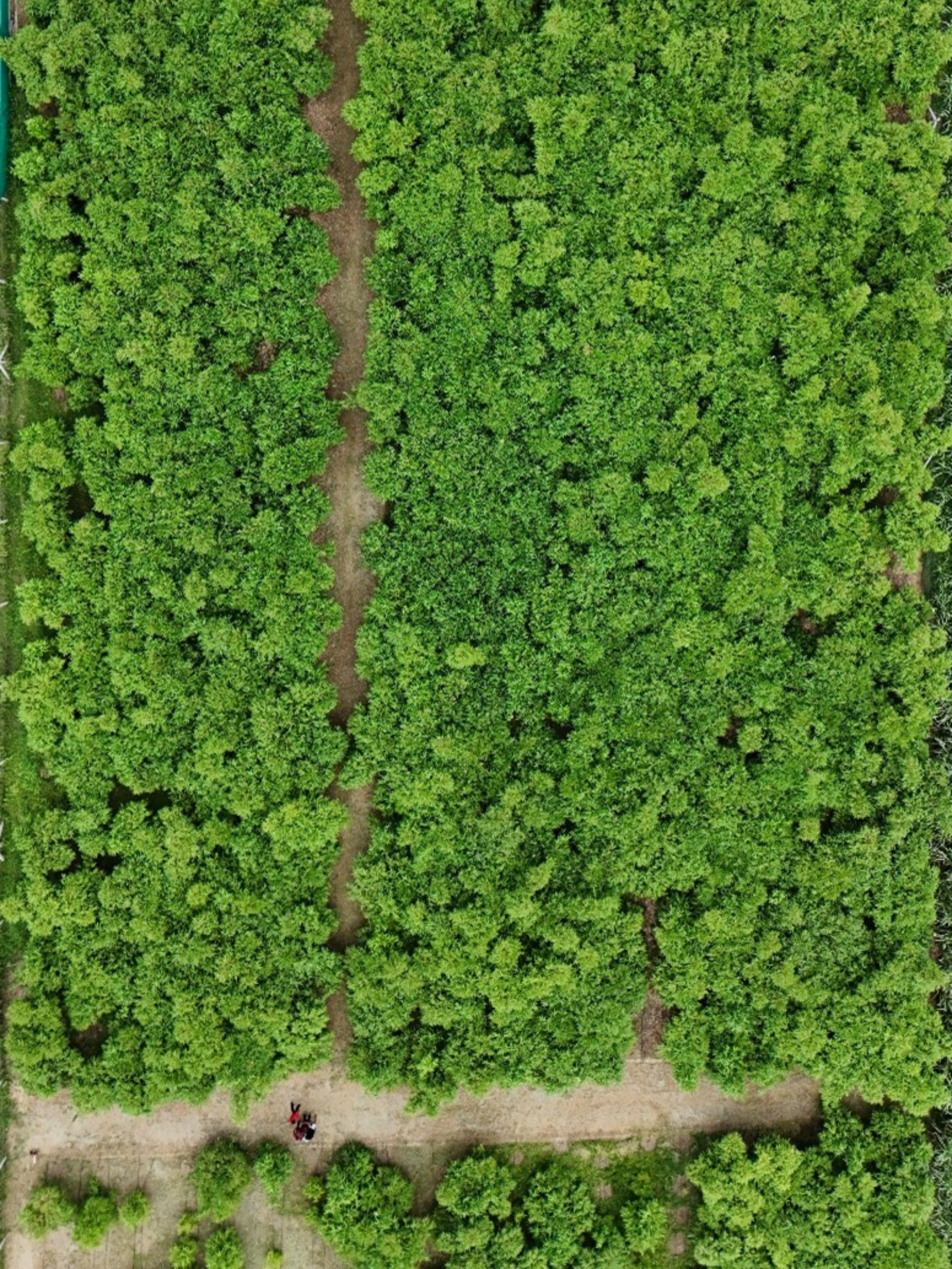 Untitled design (14)